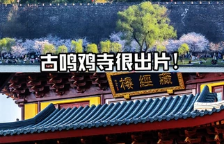 鸡鸣寺保姆级攻略｜药师佛塔机位全收录