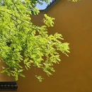 舟山旅游 缩略图 4