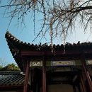 武汉旅游 缩略图 2