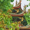 厦门旅游 缩略图 6