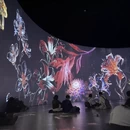 扬州旅游 缩略图 7