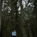 嘉峪关旅游 缩略图 4