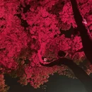 南京旅游 缩略图 5