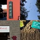 北京旅游 缩略图 12