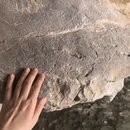 杭州旅游 缩略图 2