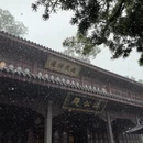 杭州旅游 缩略图 7