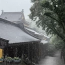 杭州旅游 缩略图 1