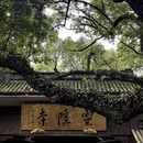 杭州旅游 缩略图 1