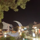 嘉兴旅游 缩略图 2