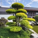 长沙旅游 缩略图 13