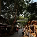 杭州旅游 缩略图 5
