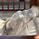 南京旅游 缩略图 12