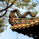 广州旅游 缩略图 4