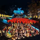 成都旅游 缩略图 6