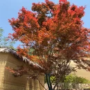 湖州旅游 缩略图 18