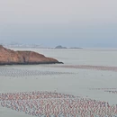宁德旅游 缩略图 4