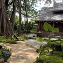 西双版纳旅游 缩略图 9