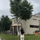 承德旅游 缩略图 6