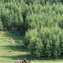 承德旅游 缩略图 9