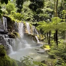 西双版纳旅游 缩略图 6