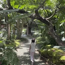 西双版纳旅游 缩略图 10