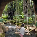 西双版纳旅游 缩略图 2
