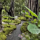 西双版纳旅游 缩略图 1