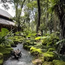 西双版纳旅游 缩略图 4