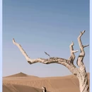 满巴拉僧庙 - 乌海市旅游 缩略图 3