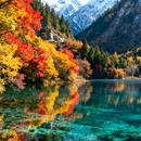 九寨沟景区 - 阿坝藏族羌族自治州旅游 缩略图 1