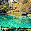 九寨沟景区 - 阿坝藏族羌族自治州旅游 缩略图 7