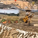 丽水旅游 缩略图 1
