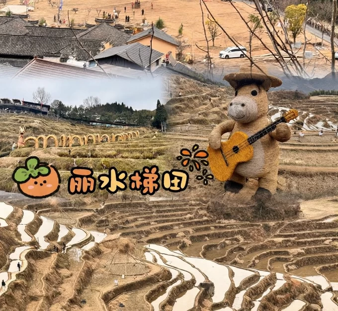 丽水旅游 1