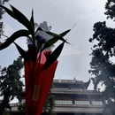 杭州旅游 缩略图 2