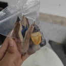 西双版纳旅游 缩略图 8