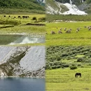 甘孜旅游 缩略图 2