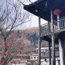 丽水旅游 缩略图 5
