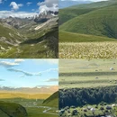 甘孜旅游 缩略图 3