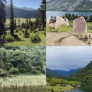 甘孜旅游 缩略图 4