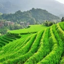 苏州旅游 缩略图 6