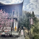 丽水旅游 缩略图 6