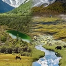 甘孜旅游 缩略图 2