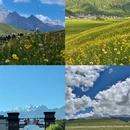 甘孜旅游 缩略图 5