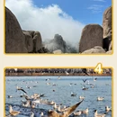 成都旅游 缩略图 2