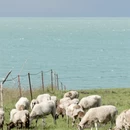 西宁旅游 缩略图 8