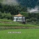 张家界旅游 缩略图 3