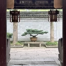舟山旅游 缩略图 4