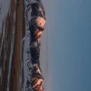 博尔塔拉旅游 缩略图 9