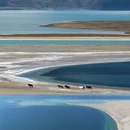 阿里旅游 缩略图 1