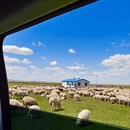 呼伦贝尔旅游 缩略图 11